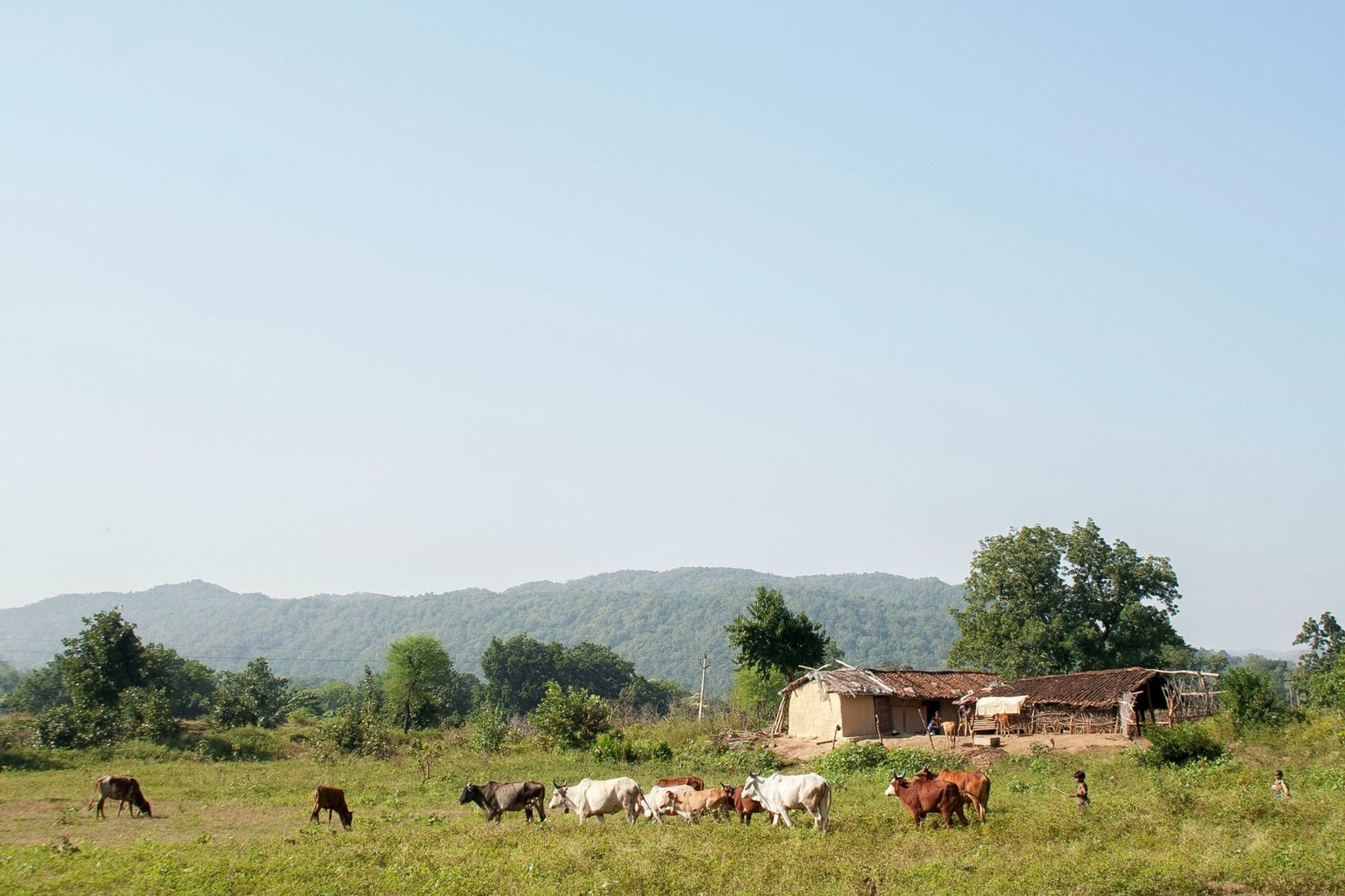 A cobblestone farmhouse nestled amidst rolling hills