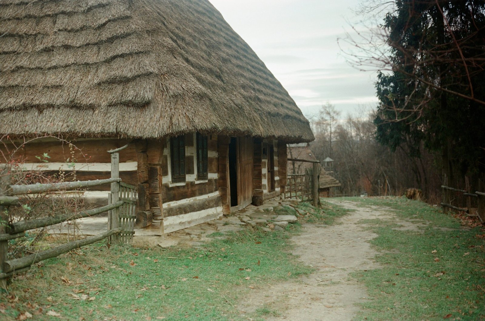 A rustic wooden table set up with fresh vegetables and jars of homemade preserves
