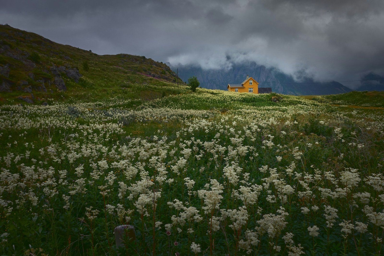 Homesteading Activities: Unlock Hidden Adventures in Historic Vacation Rentals