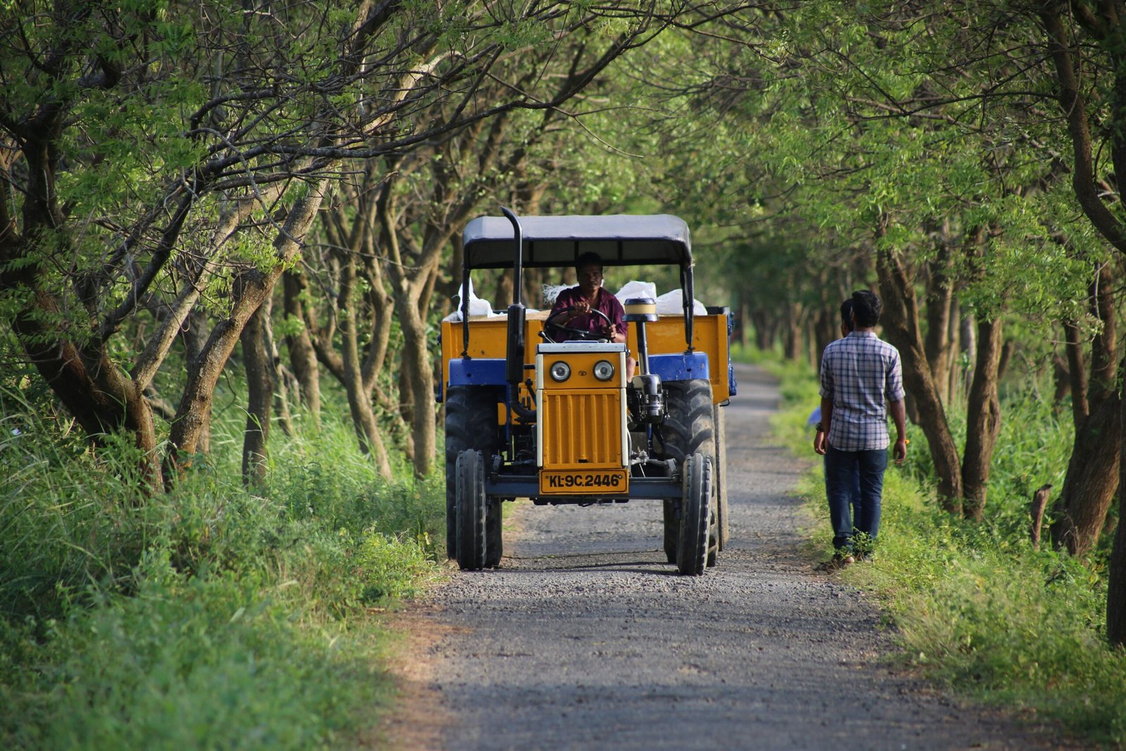Tourists exploring a rustic farmhouse surrounded by lush fields