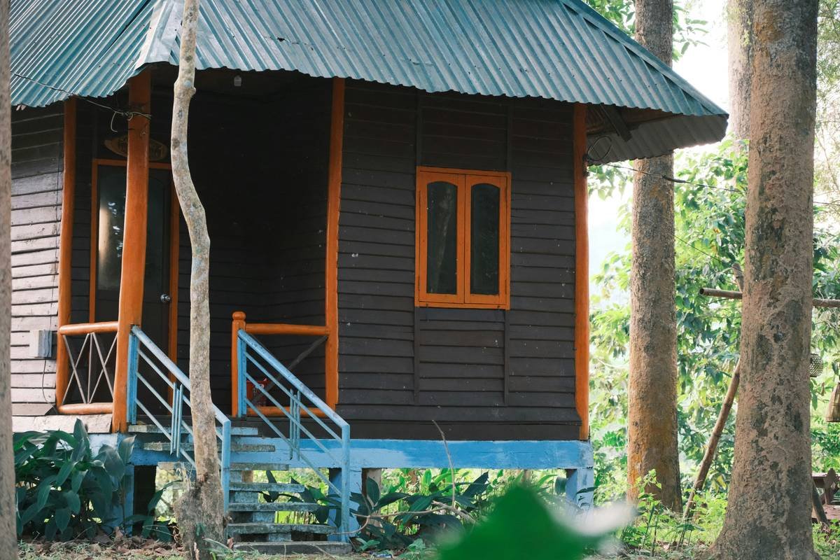 A charming capsule vintage home with ivy-covered walls and antique furniture