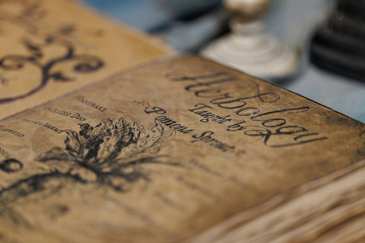 An old leather-bound 'Herbology' book with an engraving of a plant and ornate cursive title lies open on a table — Kaliningrad museum apothecary exhibit.
