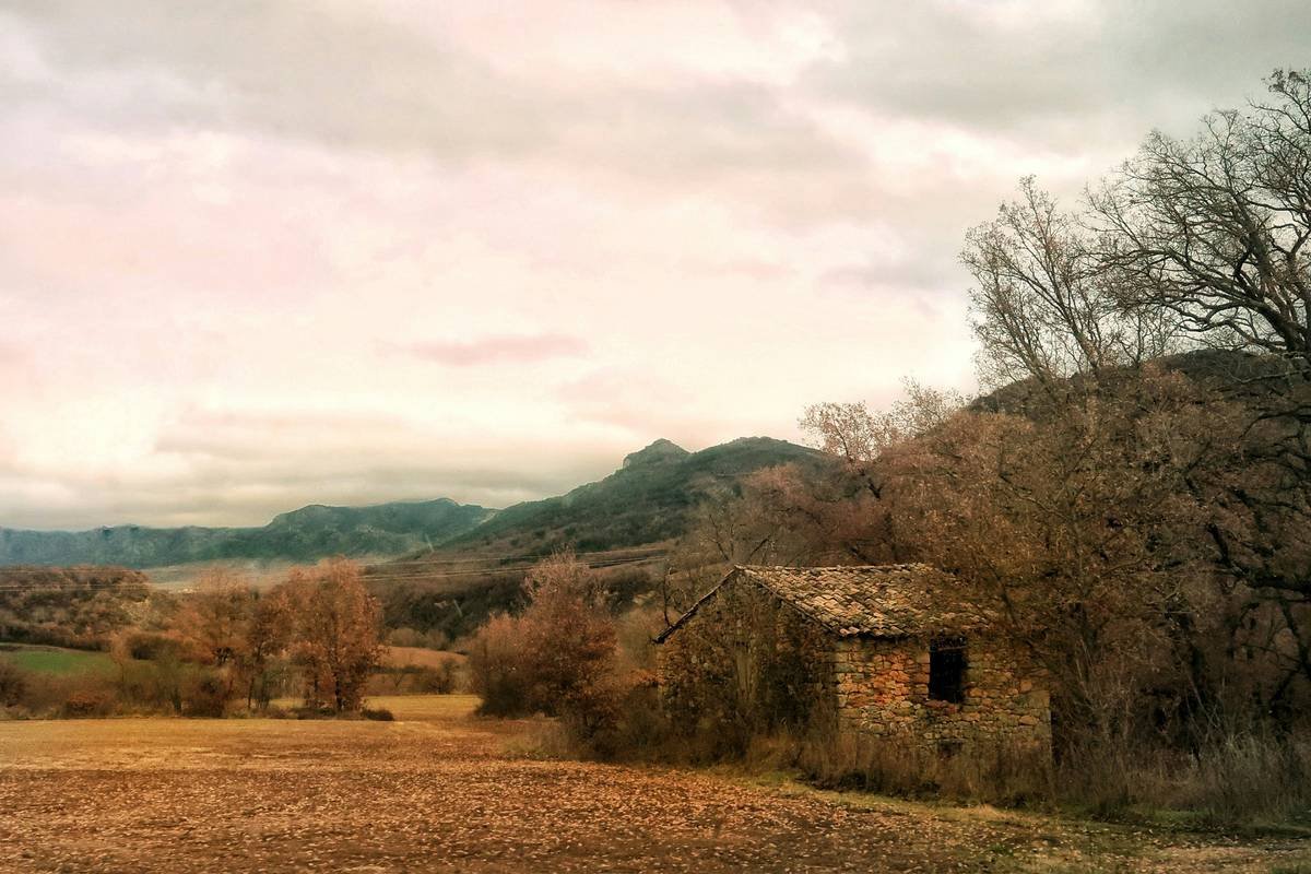 Why Historic House Rentals Are the Smartest Way to Travel—And How to Book One Without Regret