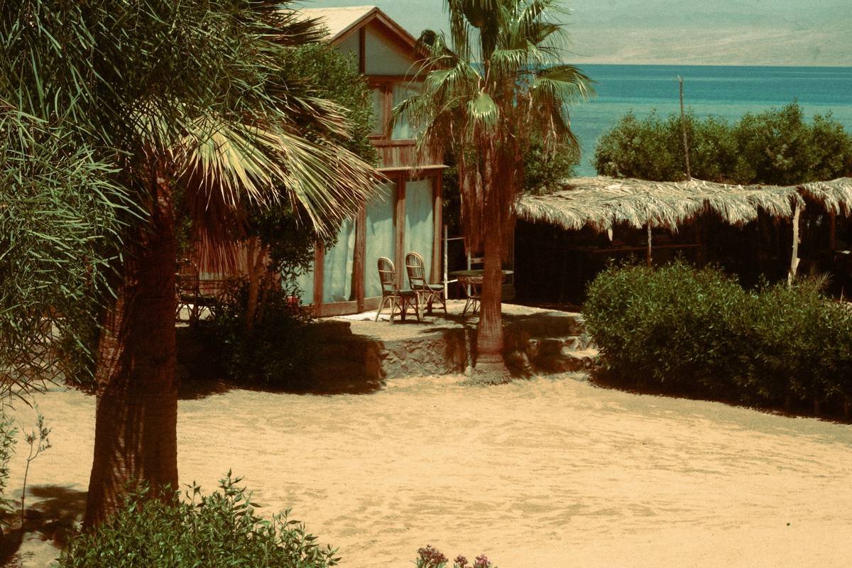 Why Vintage Vacation Homes Offer the Only Real Escape Left